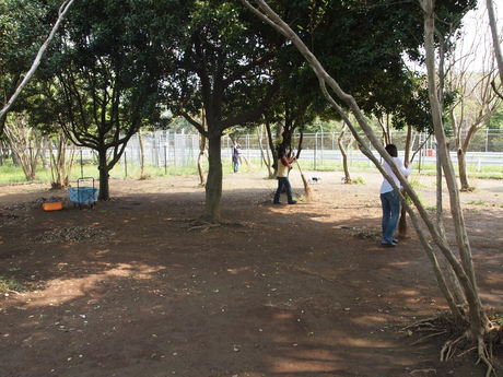 e0125264_196586.jpg
