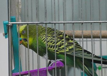 f0196665_00841.jpg