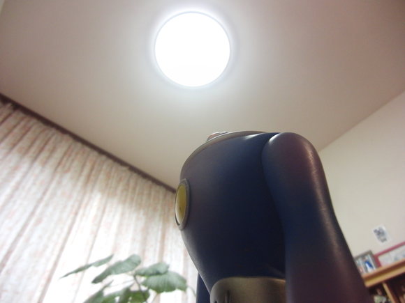 d0189066_1717247.jpg