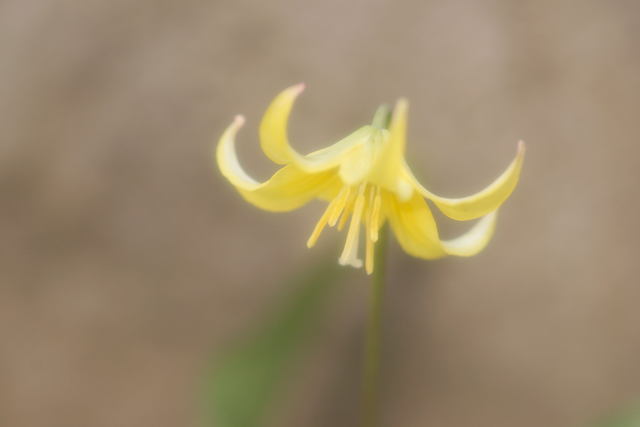 b0223668_8315210.jpg