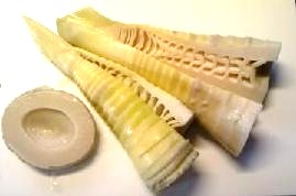 e0274872_15573958.jpg
