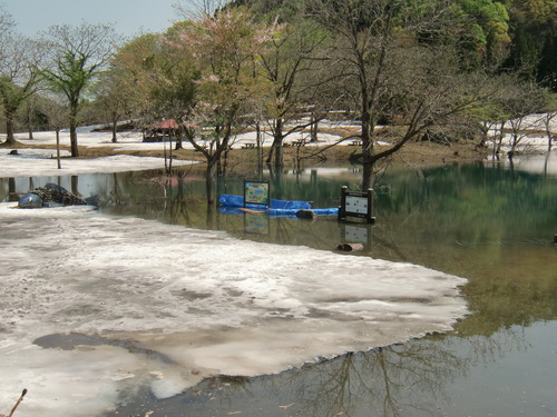 f0225473_22374168.jpg
