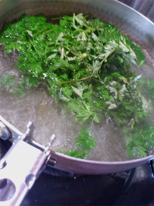 c0220374_8435625.jpg