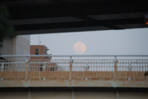 f0152875_9262769.jpg