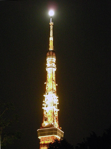 a0109476_3263011.jpg