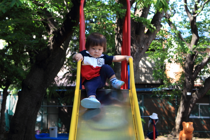c0008378_1124083.jpg