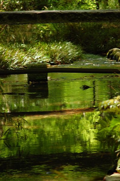 e0252879_1082250.jpg