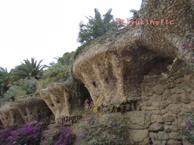f0062680_2129282.jpg