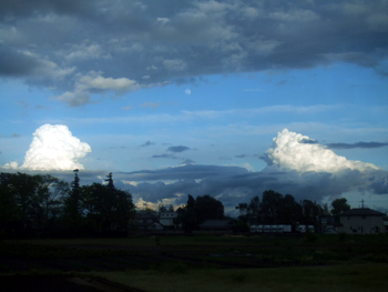 c0051781_23515486.jpg