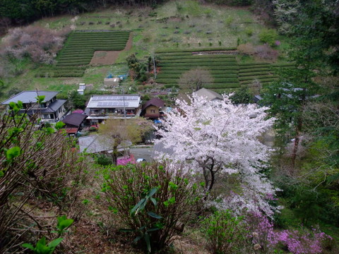 a0043982_16204918.jpg