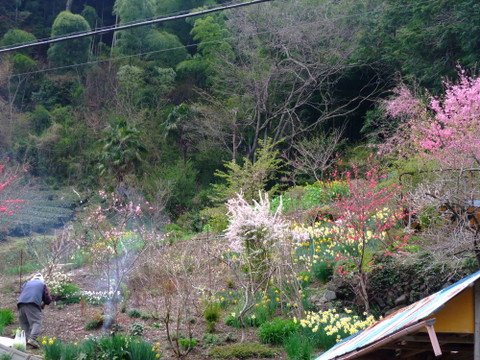a0043982_16332854.jpg