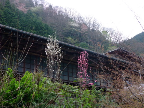 a0043982_16342214.jpg