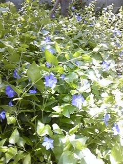 a0243983_1781839.jpg