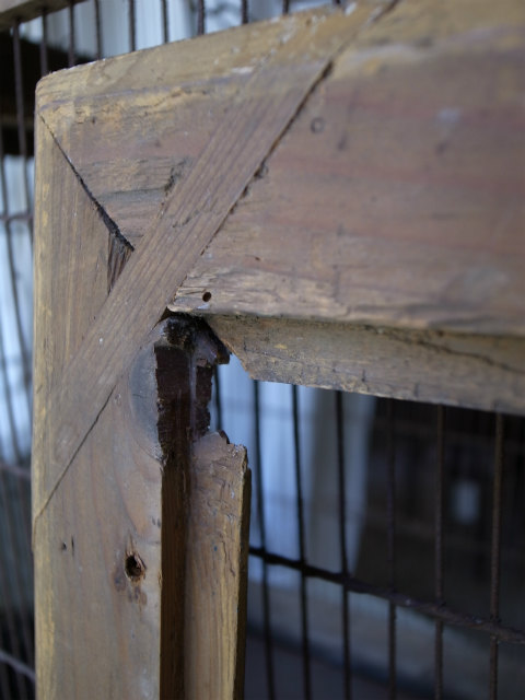 c0143989_177569.jpg