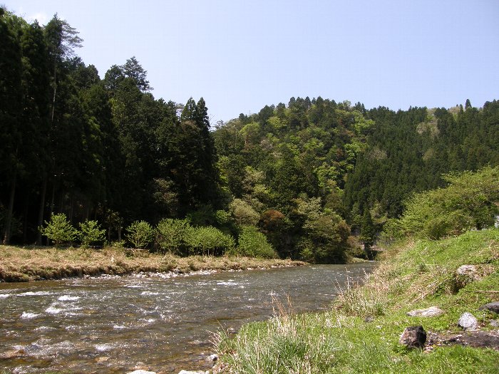 c0057390_739303.jpg