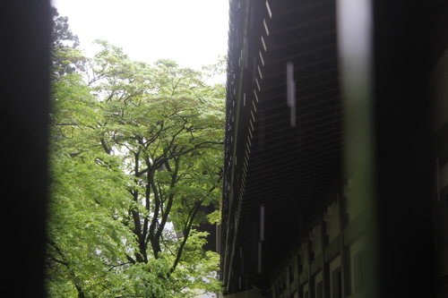a0234491_2224359.jpg