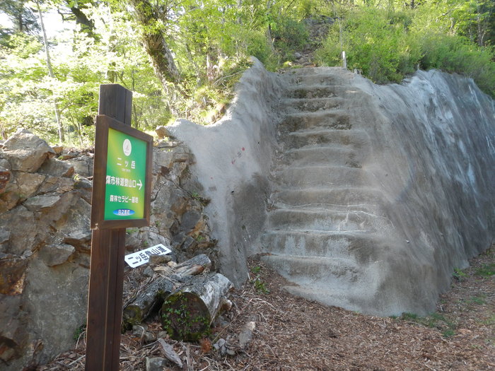 b0177493_7443460.jpg