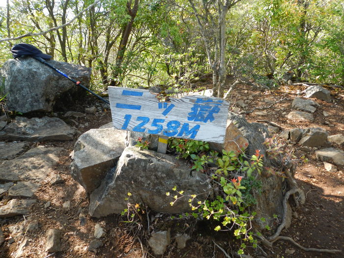 b0177493_746214.jpg