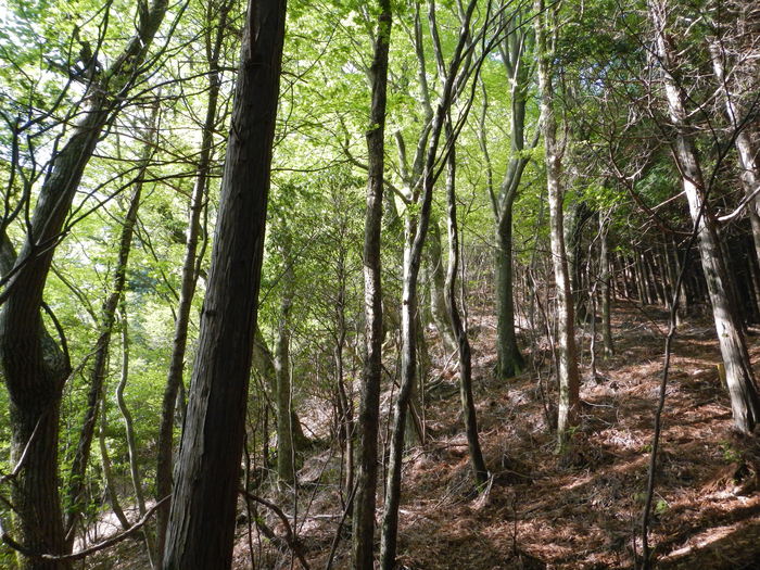 b0177493_7463243.jpg
