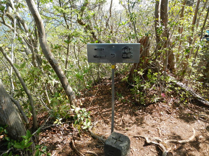 b0177493_7472854.jpg
