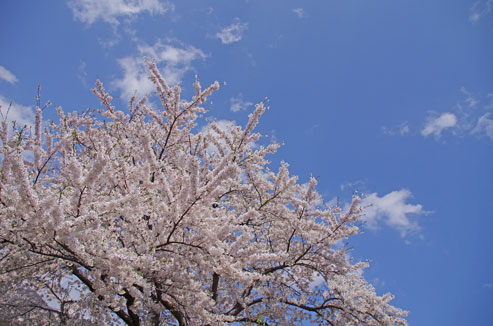 c0207596_21461711.jpg