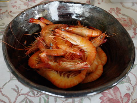 c0090198_332158.jpg