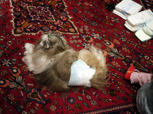 c0090198_3334946.jpg