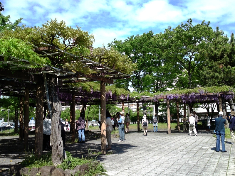 a0031000_1684492.jpg