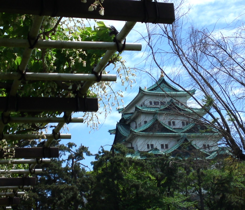 a0031000_1695911.jpg