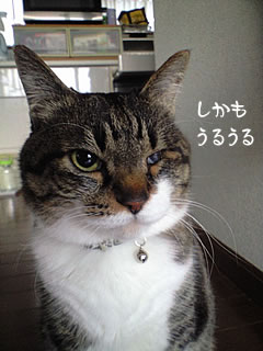 c0035001_1711175.jpg