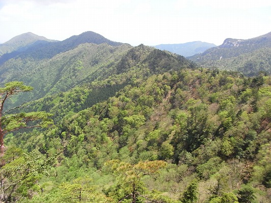 f0187402_1962773.jpg