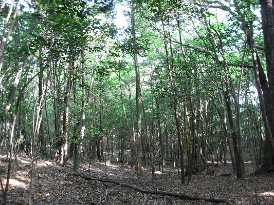 f0187402_2144769.jpg