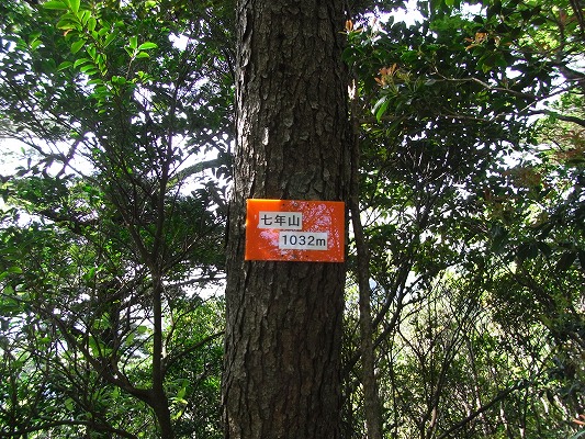 f0187402_21473987.jpg