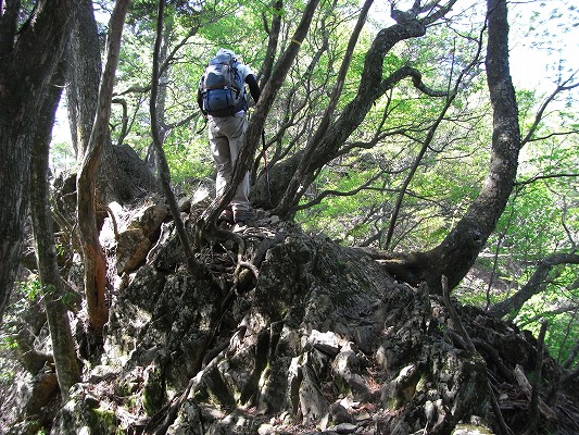 f0187402_2148144.jpg