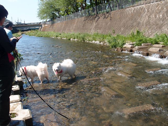 e0018604_13454038.jpg