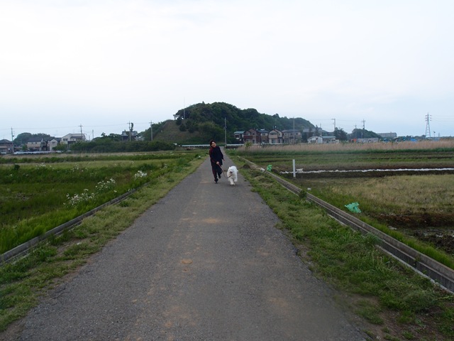 e0018604_13574582.jpg
