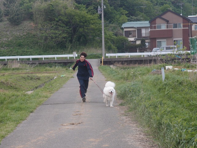e0018604_1358188.jpg