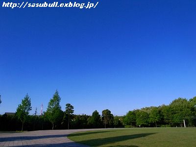 e0145805_19164199.jpg