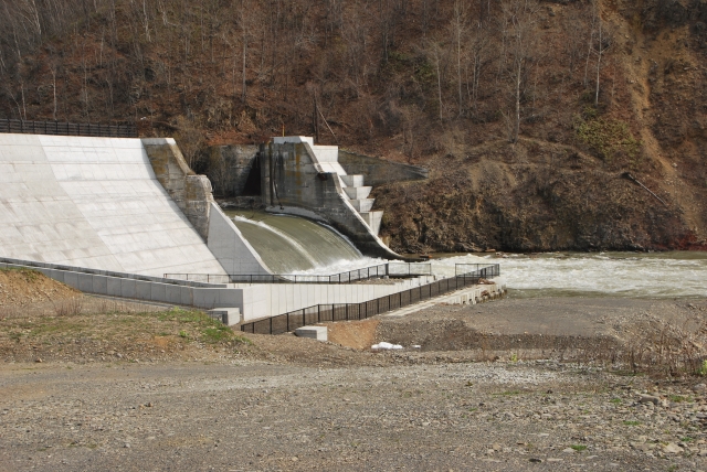 d0051707_74096.jpg