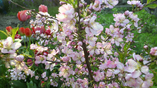 b0035611_2164968.jpg