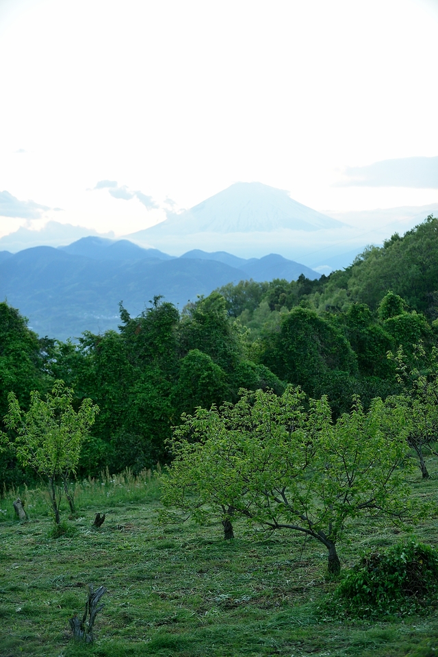 c0153411_21524448.jpg