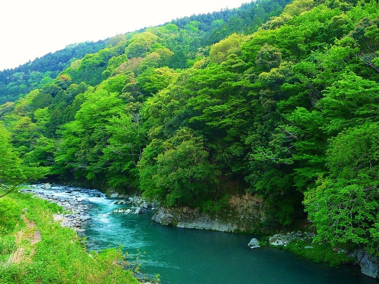 f0182513_21125556.jpg