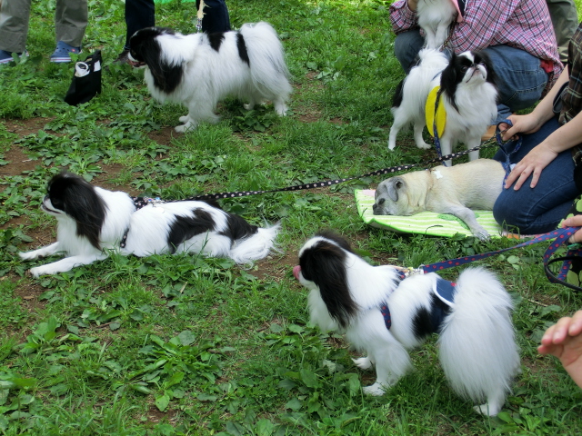 c0200916_2214455.jpg