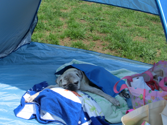 c0200916_222719.jpg