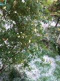 e0112619_0573970.jpg