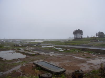 c0025724_20371695.jpg