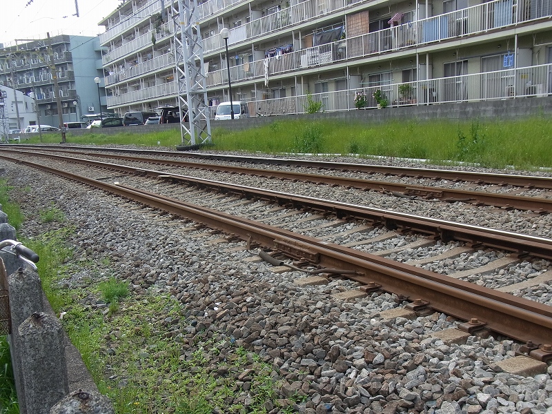 d0141424_23193165.jpg