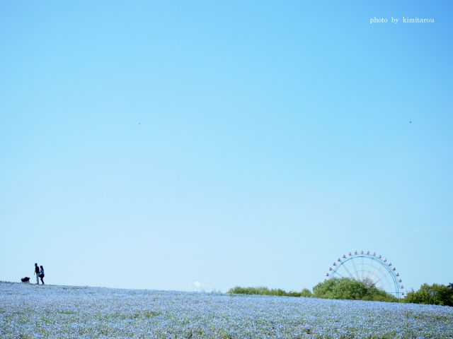 e0242525_23224165.jpg
