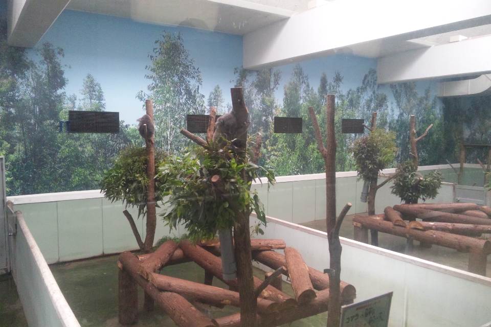 f0031125_1615395.jpg