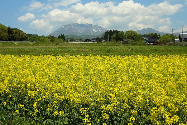 f0007926_1532087.jpg
